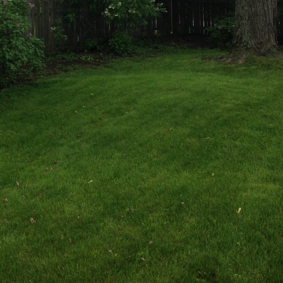 Meet your Posher, Bev - Picture 1 of 1